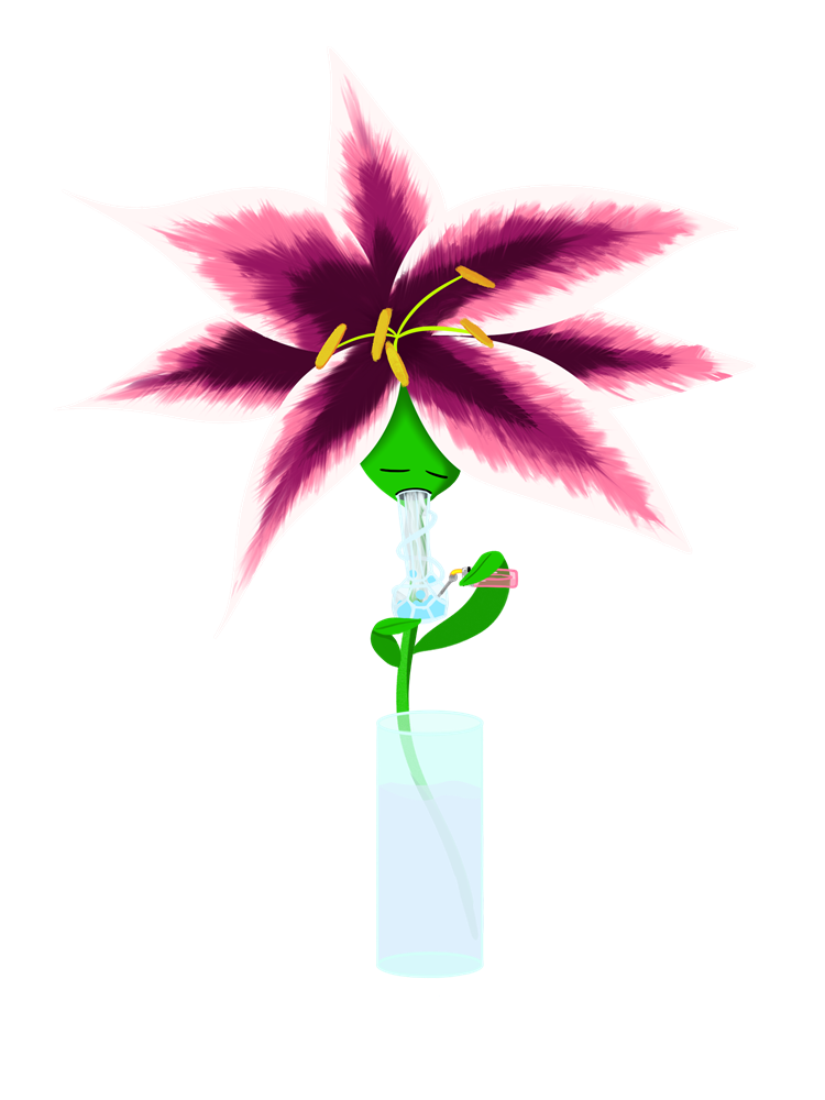 Lit Lily